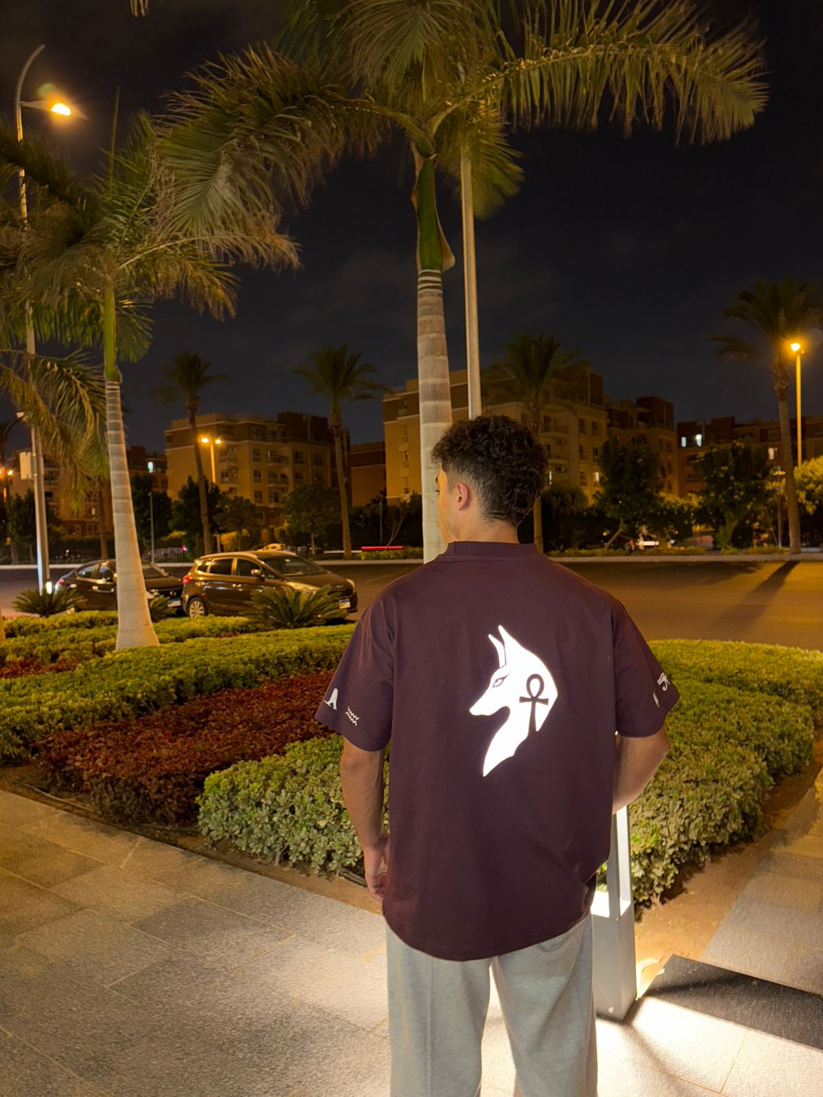 Horus-Reflective Eternal Tshirt